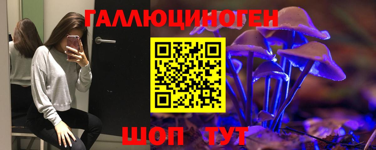 Галлюциногенные грибы Psilocybine cubensis  Вход с VPN  Арзамас  Псилоцибиновые грибы MAGIC MUSHROOMS 